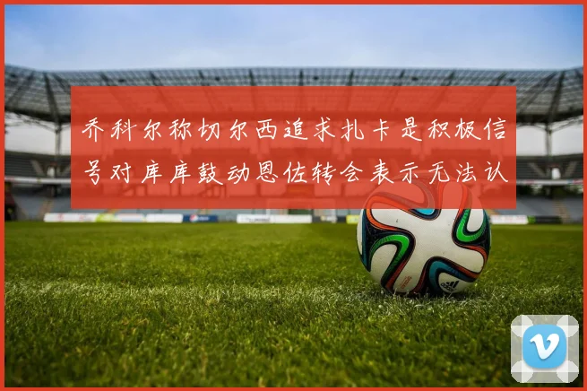 乔科尔称切尔西追求扎卡是积极信号对库库鼓动恩佐转会表示无法认同