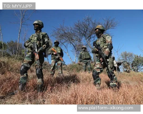 巴西连线即将落幕各方关注终章揭晓的关键时刻 巴西连线即将落幕各方关注终章揭晓的关键时刻